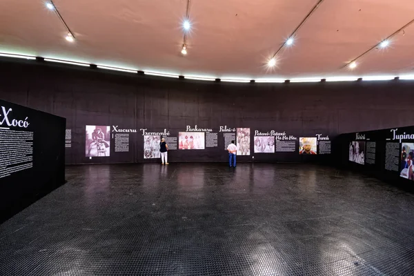 Brasilia Federal District Brazil January 2020 Memorial Indigenous People — Stockfoto