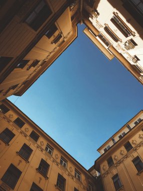 Saint-Petersburg 'un sıcacık bahçesi
