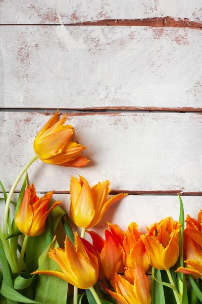 Marco de fondo rústico con tulipanes de rizo naranja . — Foto de Stock