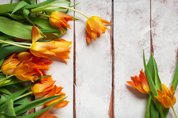 Marco de fondo rústico con tulipanes de rizo naranja . — Foto de Stock