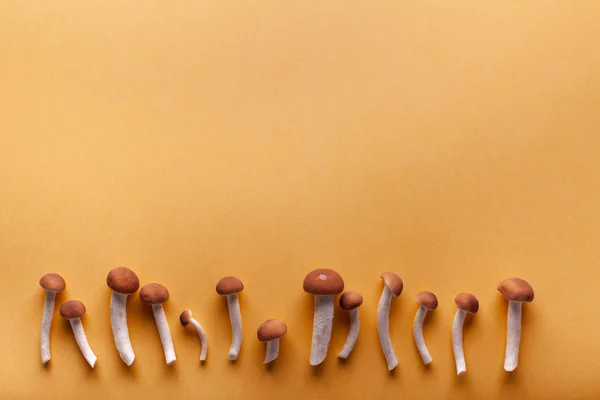 Fond jaune d'automne avec champignons, cadre, blanc pour la publicité, place pour le texte — Photo