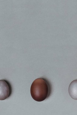 Küçük gri arasında büyük kahverengi yumurta. Paskalya minimalist kavramı