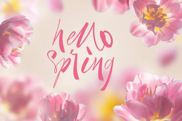 Hello tavasz - üdvözlőlap kézi kalligráfiai felirattal. Tulipánok kék alapon — Stock Fotó