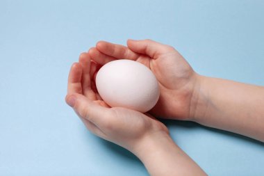 Mavi arka plandaki bir çocuğun ellerinde beyaz tavuk yumurtası.