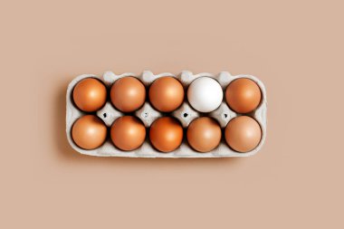 Masadaki kutuda bir düzine yumurta, tek bir beyaz yumurta, üst manzara. Minimalist ürün konsepti.