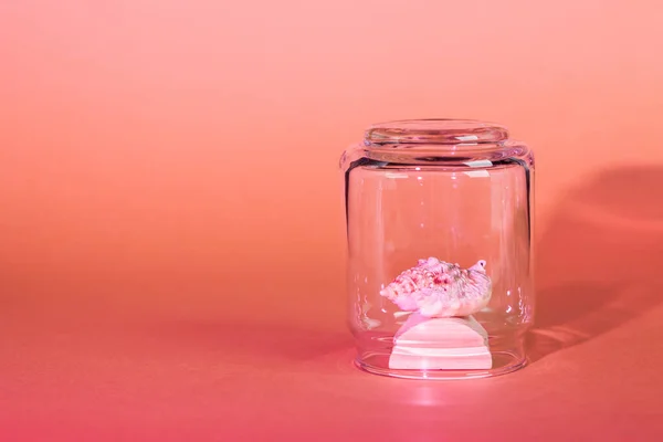 Quarantaine vacances d'été concept. Coquille sous une cloche de verre sur un fond dégradé rose . — Photo