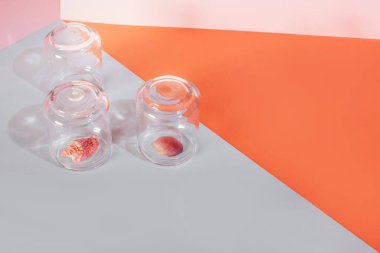 Karantina yaz tatili konsepti. Geometrik iki tonluk arka planda cam kapağın altında kabuk.