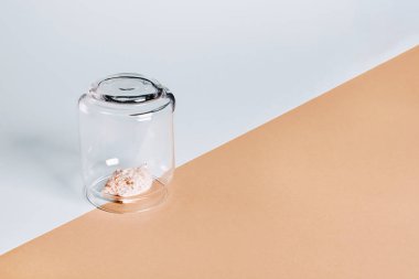 Karantina yaz tatili konsepti. Geometrik iki tonluk arka planda cam kapağın altında kabuk.