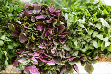 Hong Kong 'daki markette taze Choy Sum paketleri.