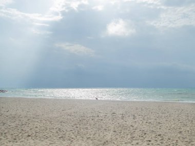Toskana 'da deniz kenarında oynayan bir çocuk.