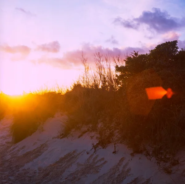 Tuscan sahilindeki kumullarda gün doğumu kışın kaplandı. — Stok fotoğraf