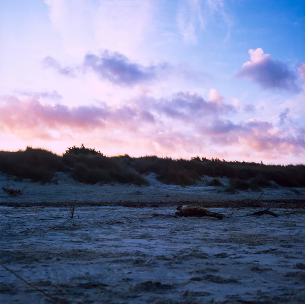 The sunrise on the dunes on the Tuscan coast in winter covered i — Stock Photo, Image