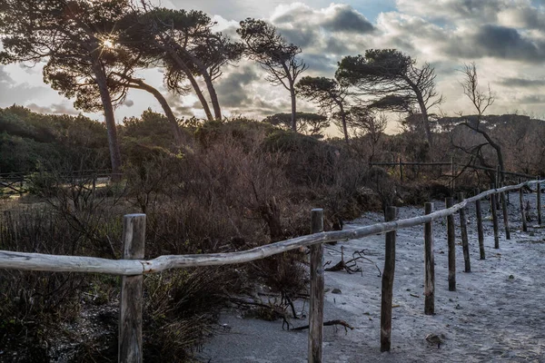 O nascer do sol nas dunas na costa toscana no inverno coberto i — Fotografia de Stock
