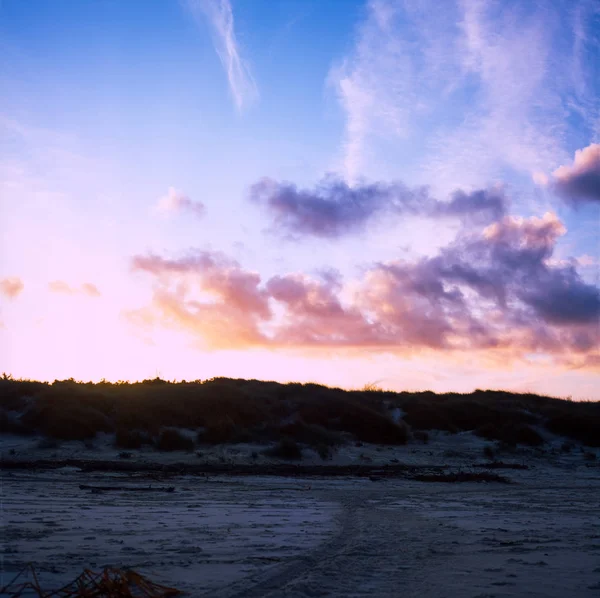 The sunrise on the dunes on the Tuscan coast in winter covered i — Stock Photo, Image