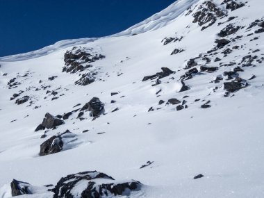 Alpler 'de güneşli bir sabahta kar ve buz kaplı ağaçlar.