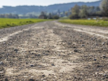 Baharda İsviçre 'de bir gölün sınırındaki toprak yola yakın plan.