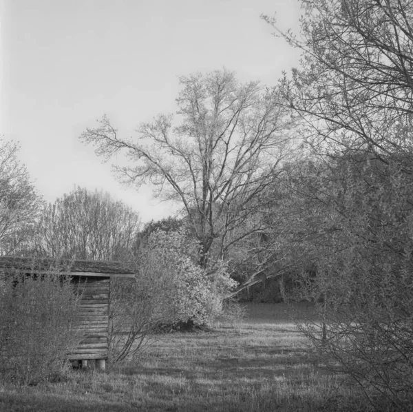 チューリッヒ近郊の田舎の木造小屋の中にある蜂の巣シェルター アナログフィルム技術で撮影 — ストック写真