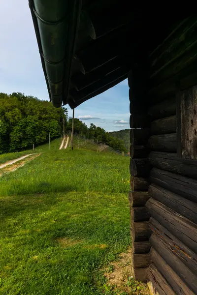 Una Vieja Cabaña Aislada Sombra Roble Suiza — Foto de Stock