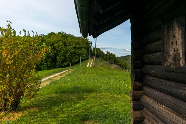 Osamělá Dřevěná Chýše Stínu Dubu Švýcarsku — Stock fotografie