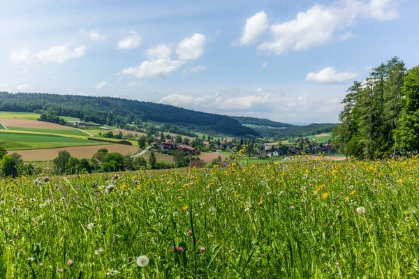 Pueblo Medieval Bachs Suiza Corazón Valle Los Alpes Suizos — Foto de Stock