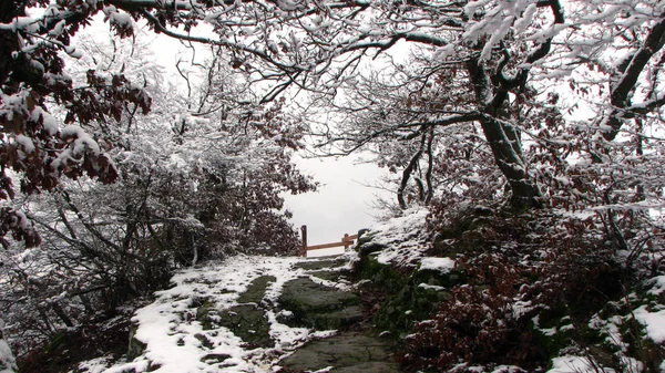 Romantic Winter Landscape Snow Germany — Stock Photo, Image