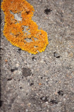 Gri beton yüzeyde parlak sarı tabaka