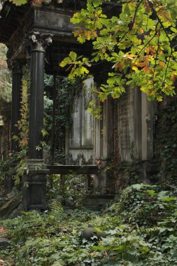 Polonya 'nın Wroclaw kentindeki Yahudi mezarlığında yapılan anma töreni