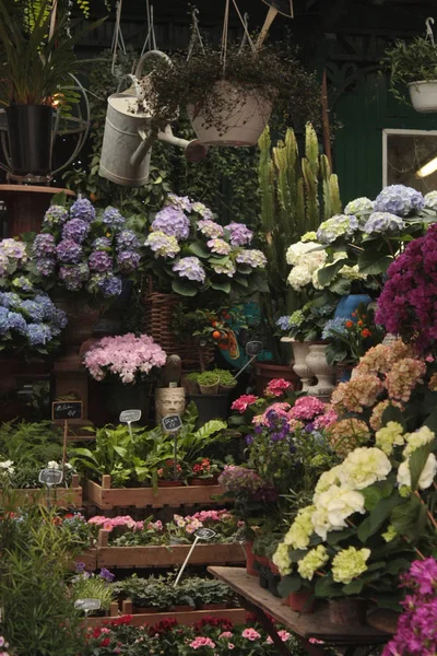Small flower shop in Paris on a cloudy day