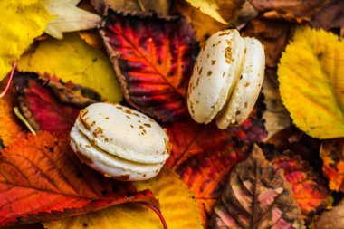 İki yeşil macarons