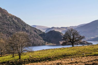 Dağlar Ambelside Cumbria'deki/daki oteller