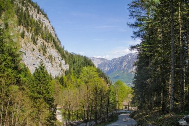 Ünlü Hallstatt Dağları'nın doğal görünümü