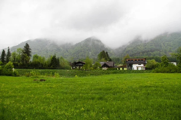 Ünlü Hallstatt köyünün doğal görünümü