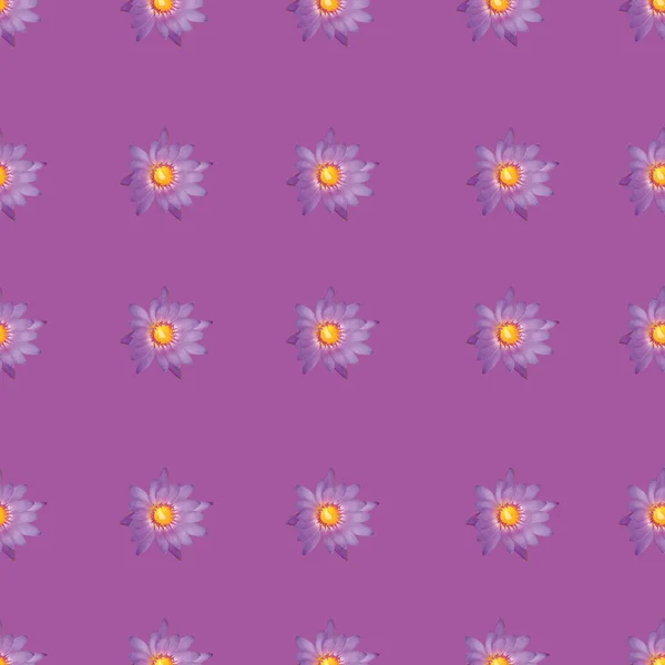 Fleur sans couture sur fond violet motif imprimé — Image vectorielle