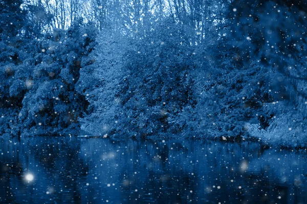 Arka planda sonbahar ormanı var..