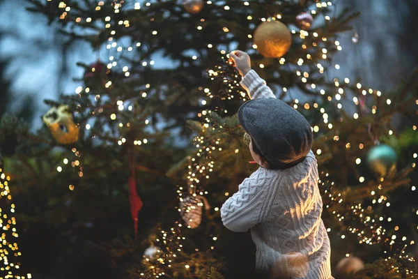 Erkek çocuk, Noel ağacı ve ampullerin olduğu klasik Noel arkaplanı..