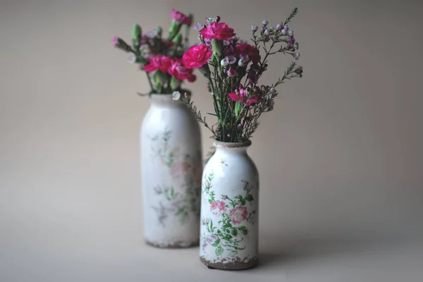 Garofani rosa fiore su uno sfondo neutro . — Foto Stock