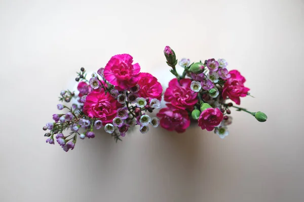 Claveles rosados florecen sobre un fondo neutro . —  Fotos de Stock