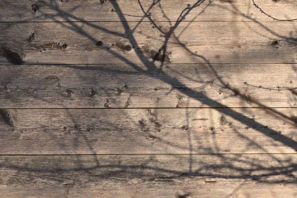 Ağaç dallarının gölgeleriyle güneş ışığında ahşap bir duvar.