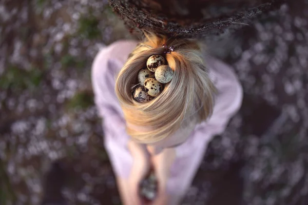 Křepelčí vejce v hnízdě z vlasů, pohled shora. — Stock fotografie