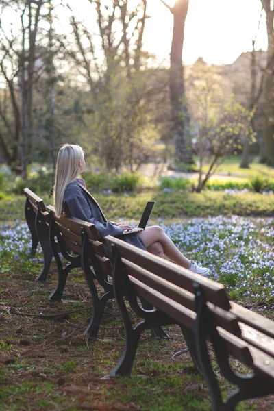 Parktaki bankta dizüstü bilgisayarıyla çalışan sarışın kız.. — Stok fotoğraf