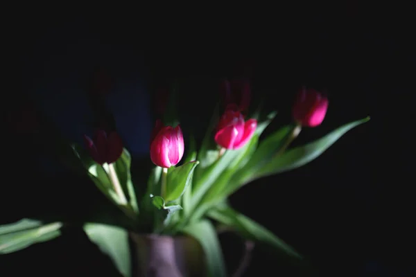 Vazodaki pembe laleler.