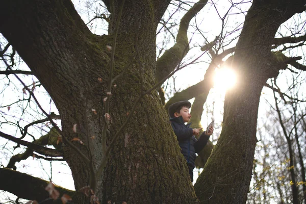 Ağaçtaki bir çocuk akıllı telefonuyla selfie çekiyor..