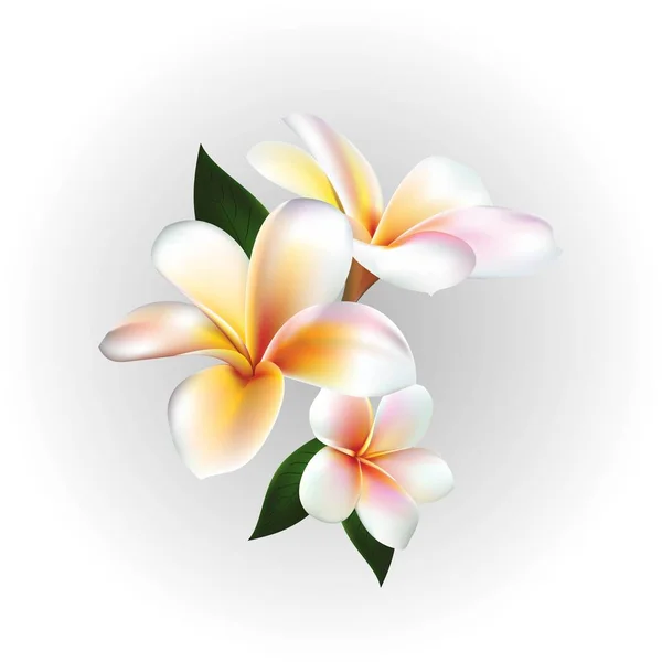 Vecteur fleur flottante — Image vectorielle