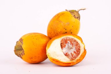 Betel fındığı bitkisel.