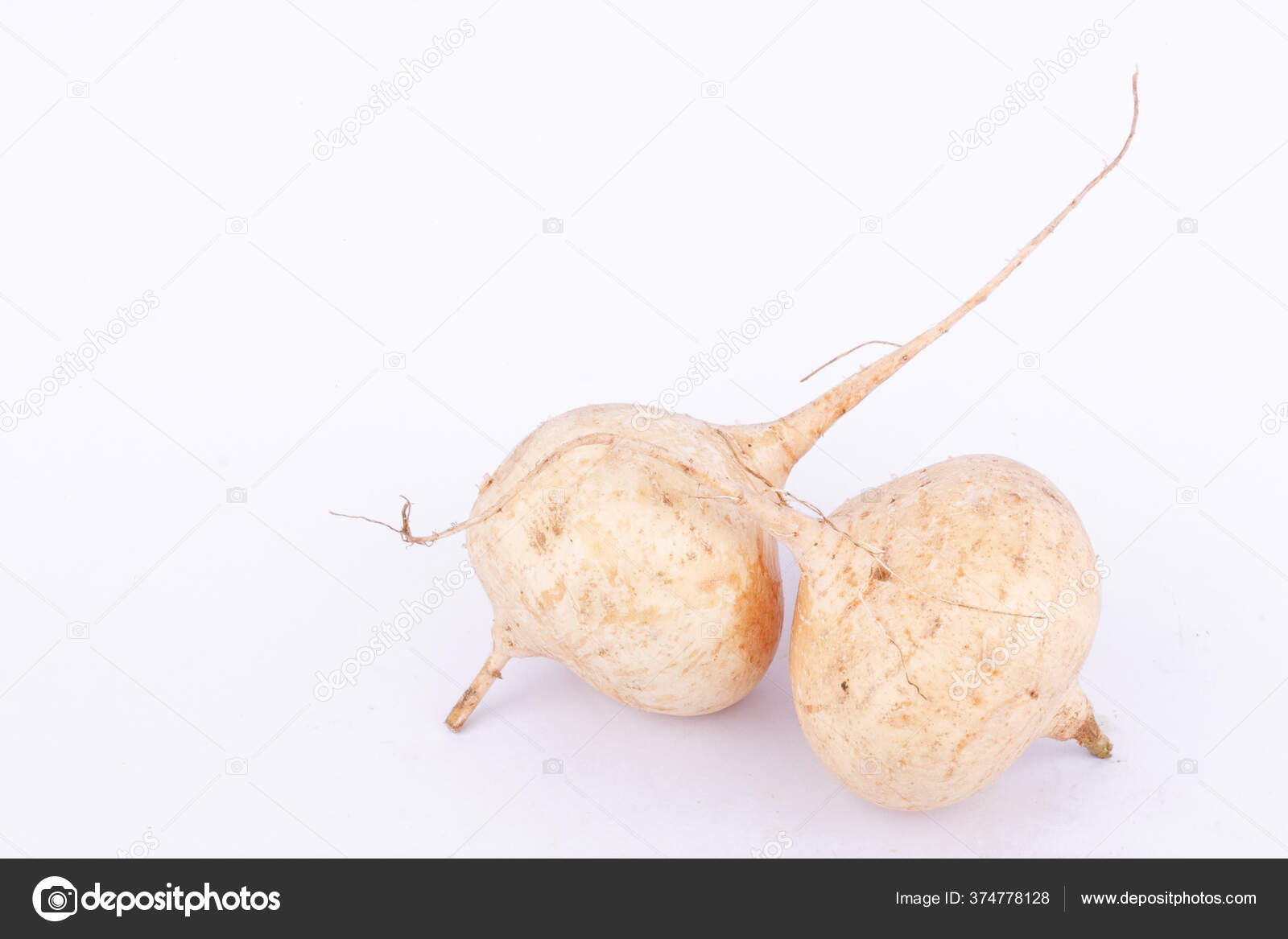 Haba Ñame Jicama Fruta Vegetal Raíz Bulbosa Sobre Fondo Blanco — Foto