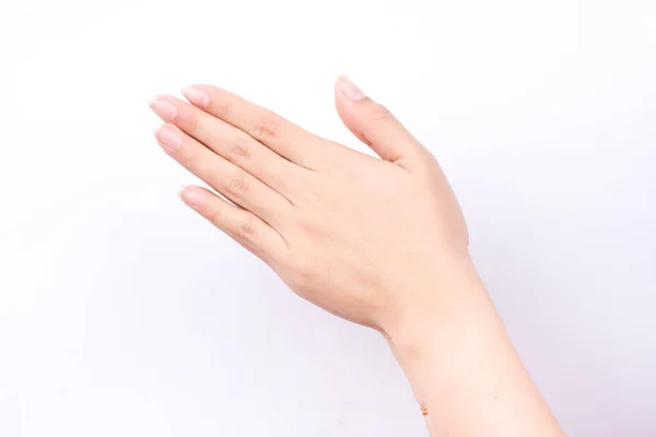 El işaretleri izole edilmiş konsept Wai beyaz arka planda geleneksel Tayland selamlamasıdır.