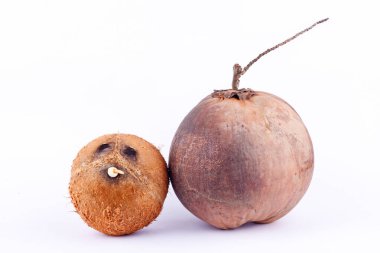  Kahverengi hindistan cevizi kabuğu ve hindistan cevizi sütü için taze hindistan cevizi. Beyaz arka planda sağlıklı meyve.