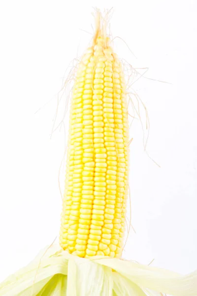 deliciouse ear of  sweet corn on cobs kernels or grains of ripe corn on white background  vegetable isolated