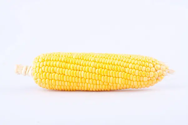 Sweet Corn Cobs Kernels Grains Ripe Corn White Background Vegetable — Stock Photo, Image