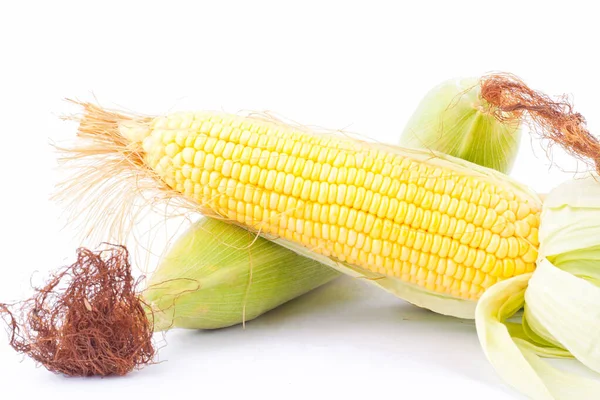 Ripe Ear Sweet Corn Cobs Kernels Grains Ripe Corn White — Stock Photo, Image